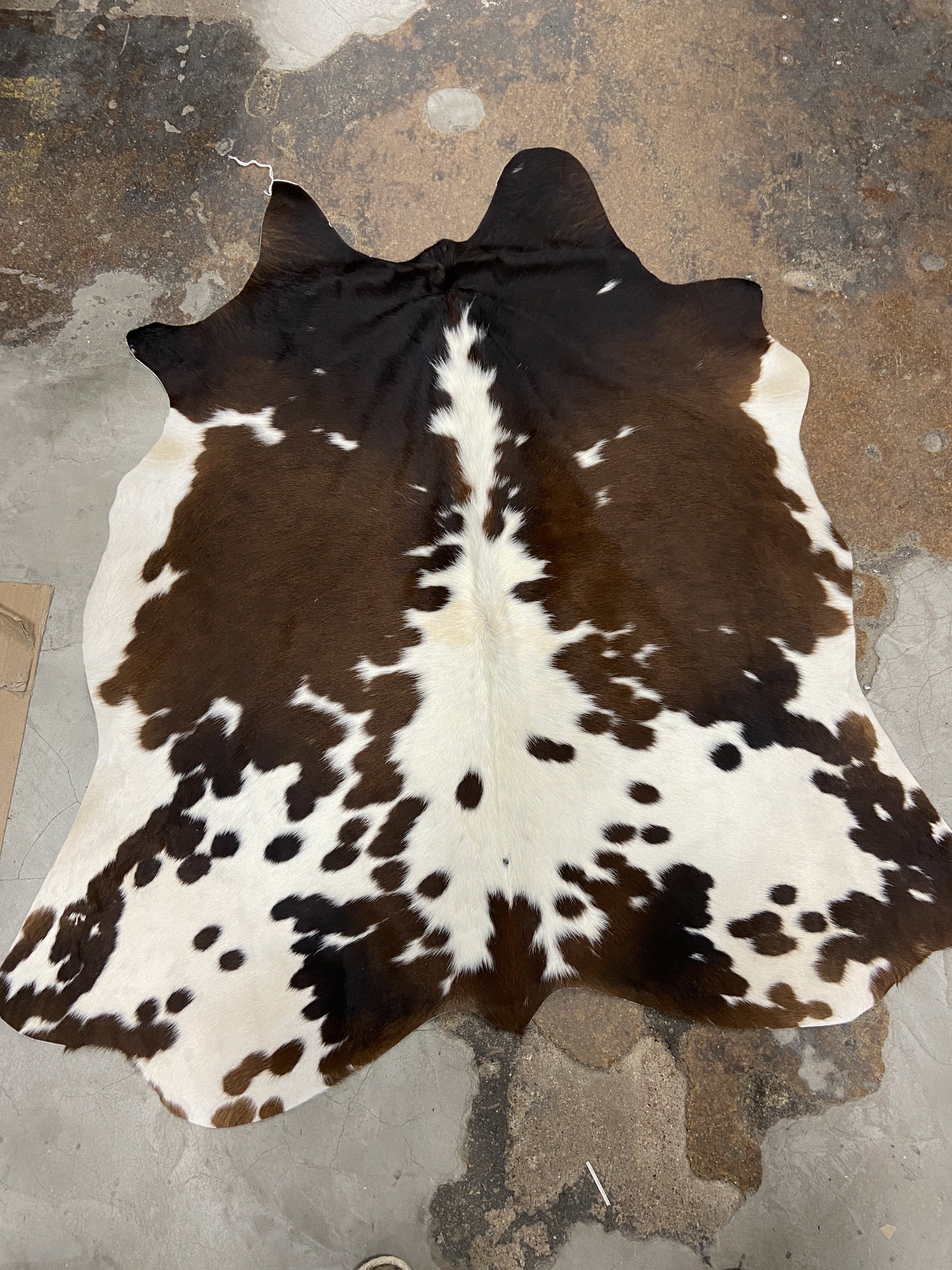 Medium Cowhide