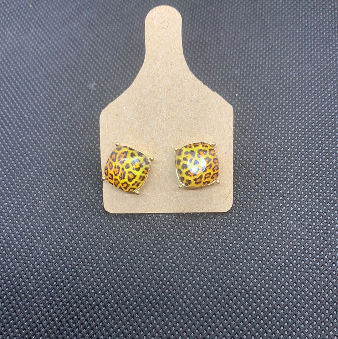 Stud Earrings