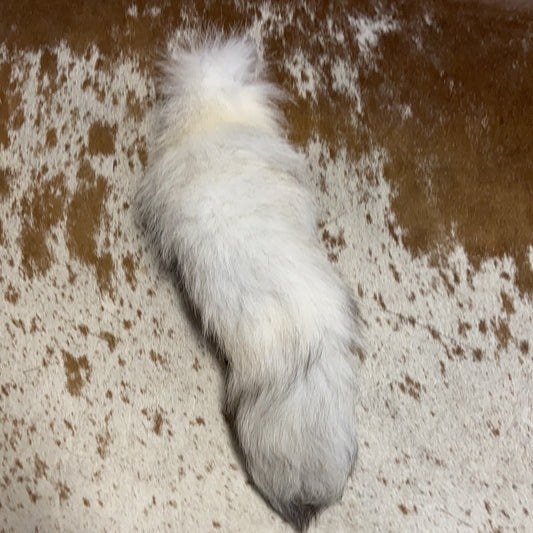 Silver Fox Tail