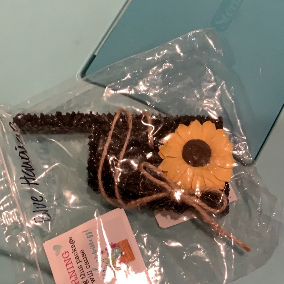 Blue Hawaiian Car Freshy