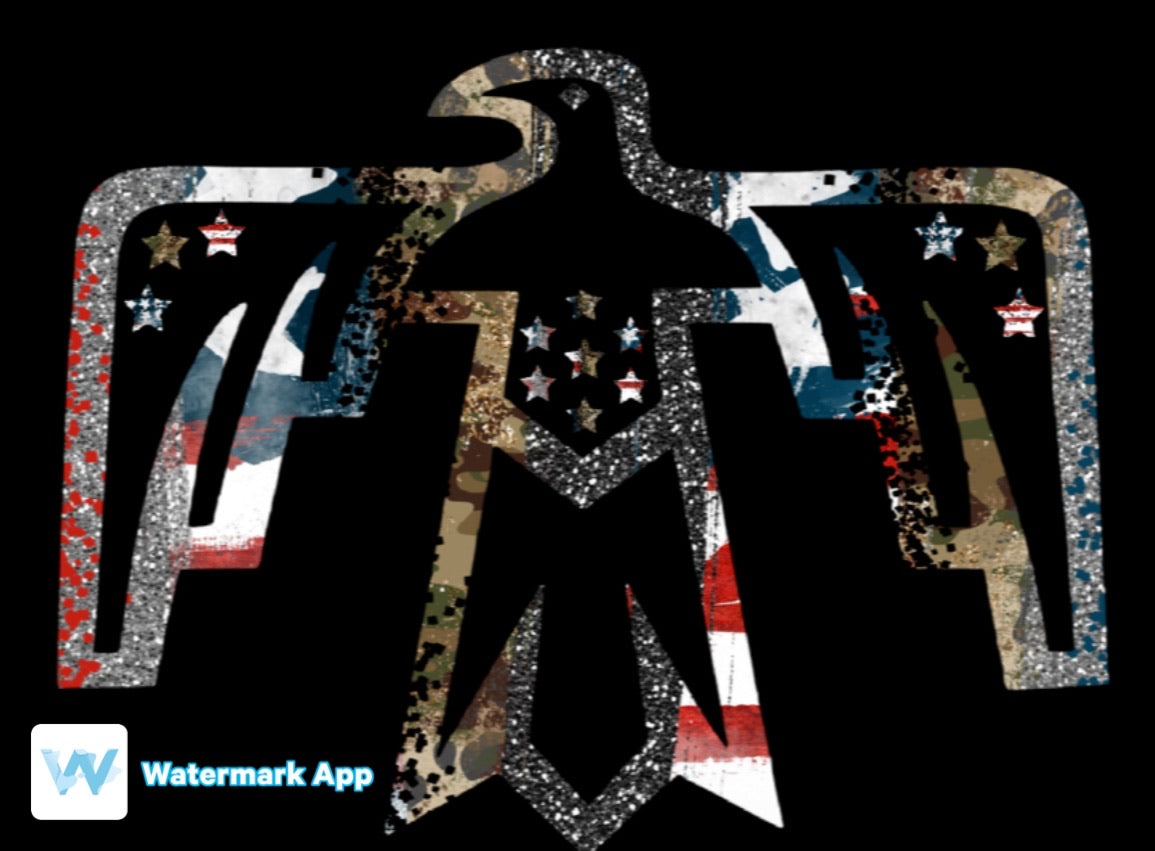 Patriotic Thunderbird