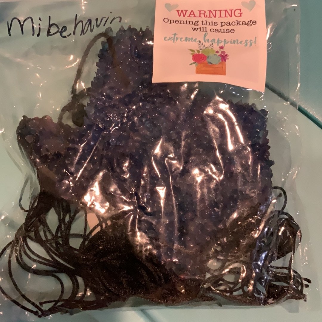 Misbehaving Car Freshy