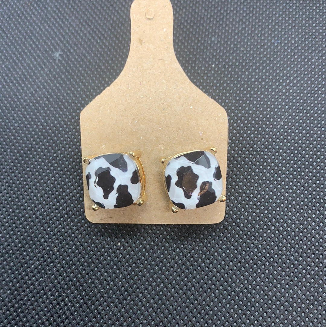 Stud Earrings