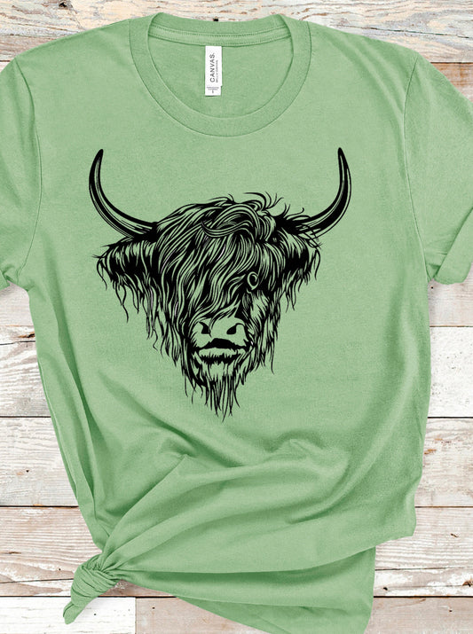 Highland Cow